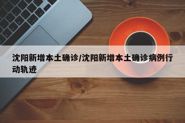 沈阳新增本土确诊/沈阳新增本土确诊病例行动轨迹