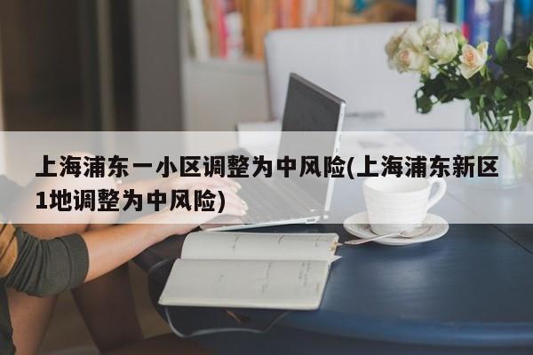 上海浦东一小区调整为中风险(上海浦东新区1地调整为中风险)