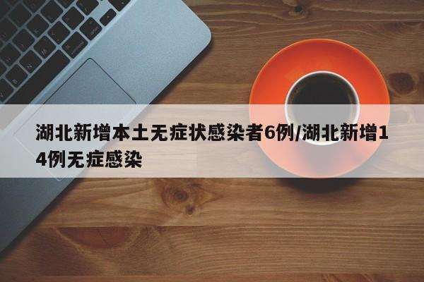 湖北新增本土无症状感染者6例/湖北新增14例无症感染