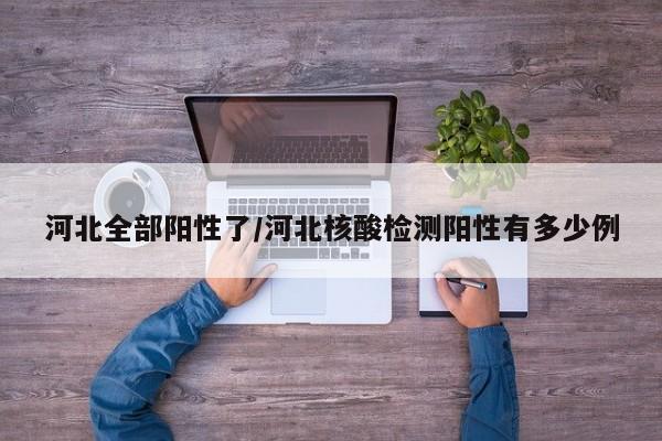 河北全部阳性了/河北核酸检测阳性有多少例