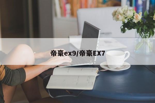 帝豪ex9/帝豪EX7