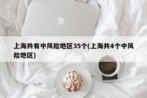 上海共有中风险地区35个(上海共4个中风险地区)
