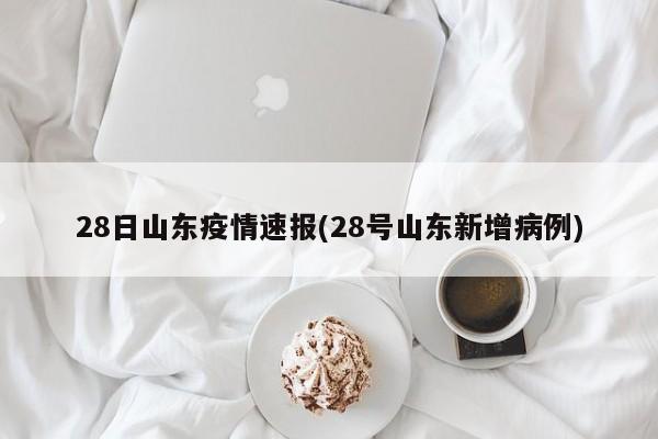 28日山东疫情速报