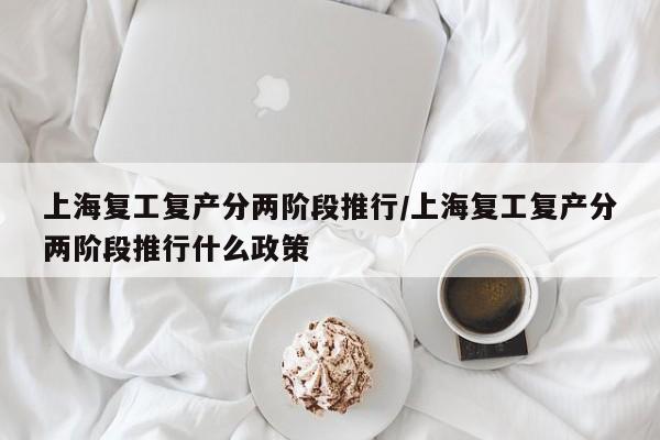 上海复工复产分两阶段推行/上海复工复产分两阶段推行什么政策