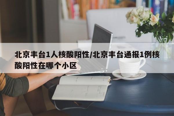 北京丰台1人核酸阳性