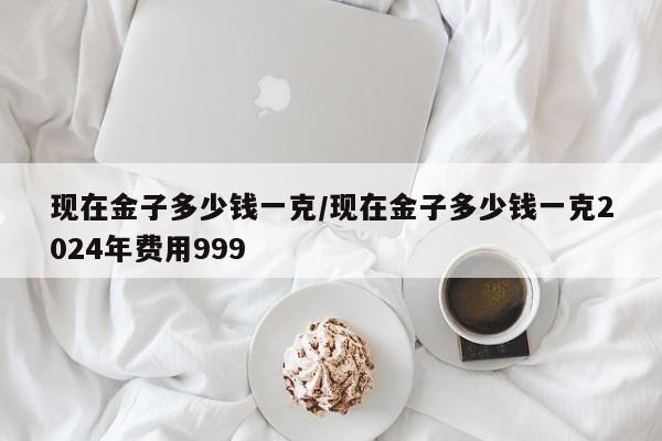 现在金子多少钱一克