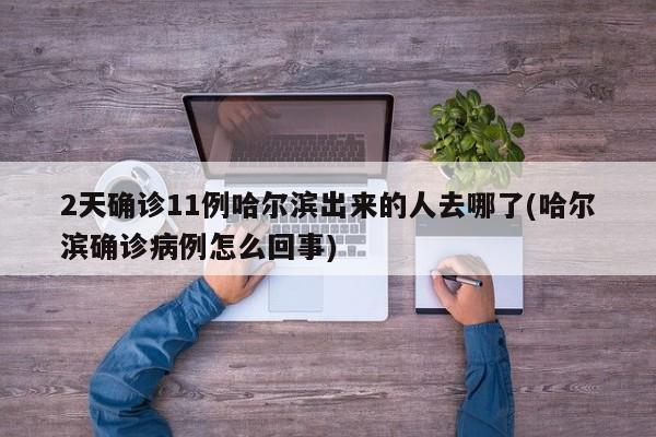 2天确诊11例哈尔滨出来的人去哪了